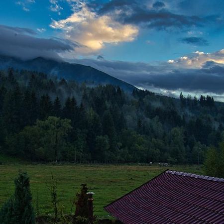 Pensiunea Mara *** Borşa Zewnętrze zdjęcie